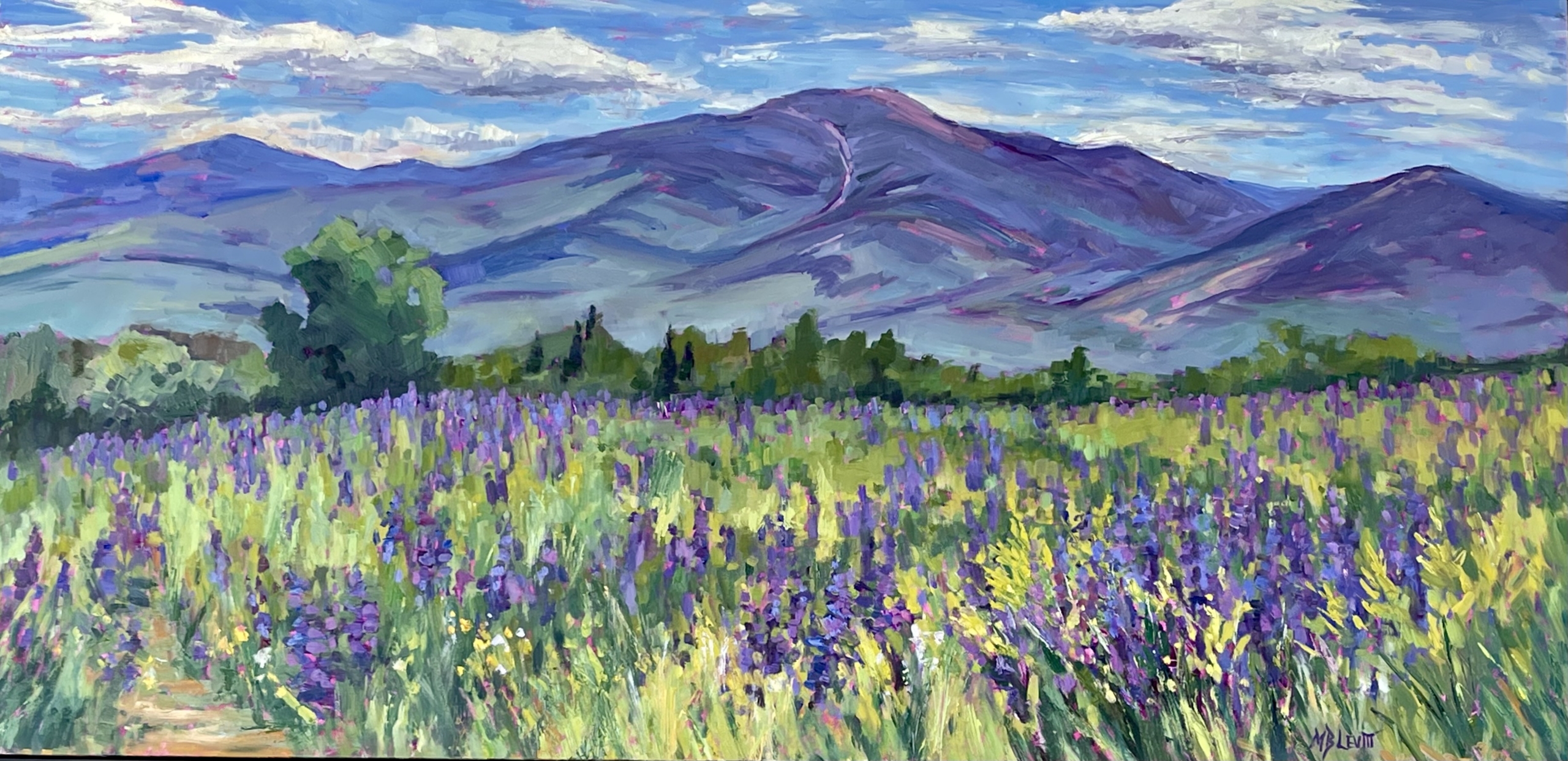 Lupine Fields 18×36”