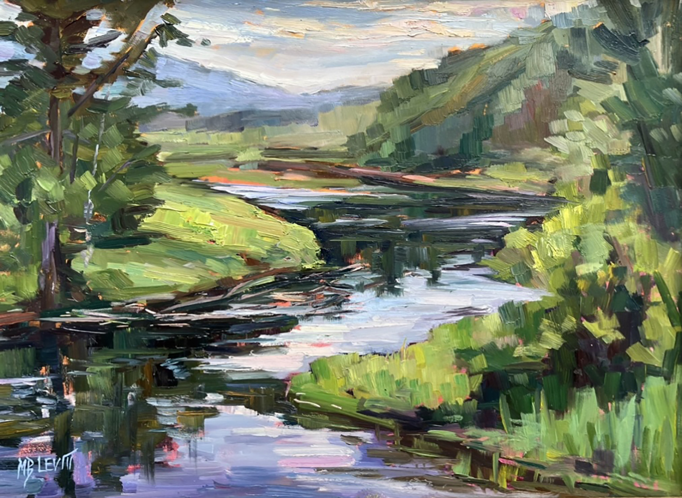 Summer on the Saco II